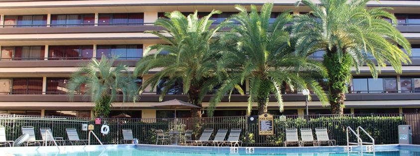 Rosen Inn At Pointe Orlando and Hotel Riu Palace Paradise Island