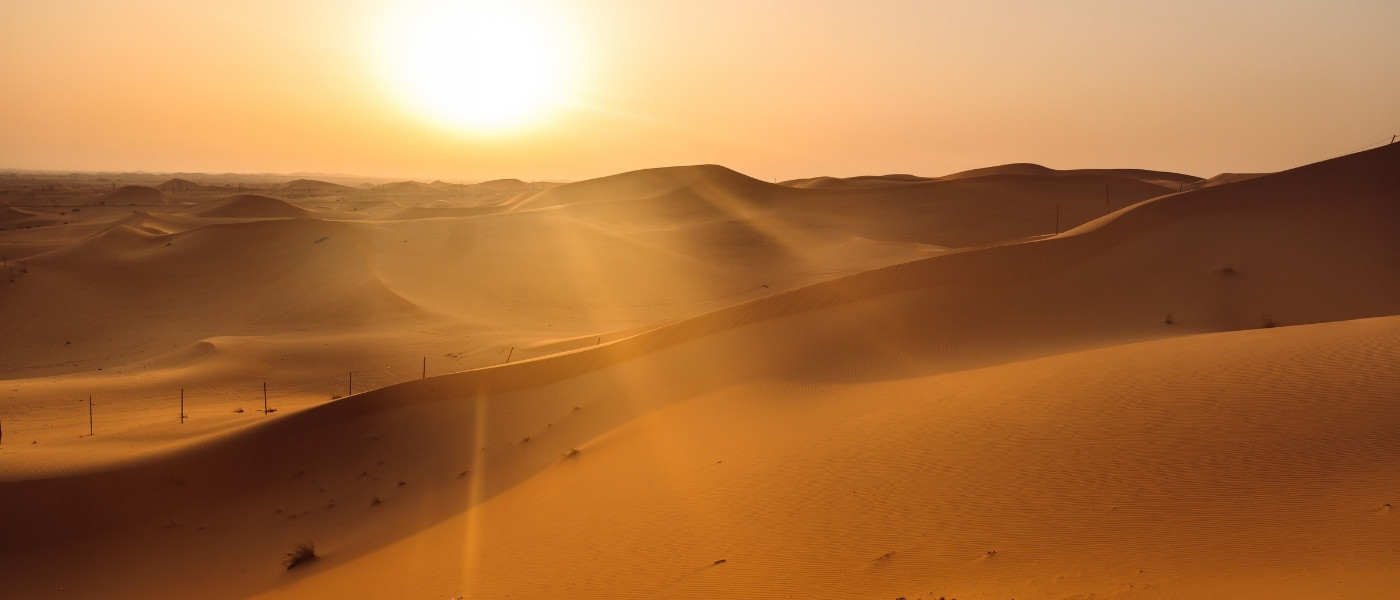 Abu Dhabi Macro 2