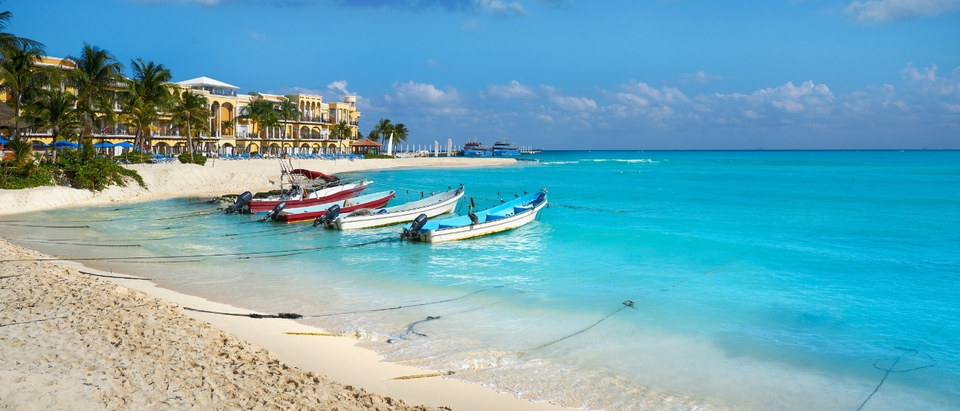 Playa Del Carmen Macro 1