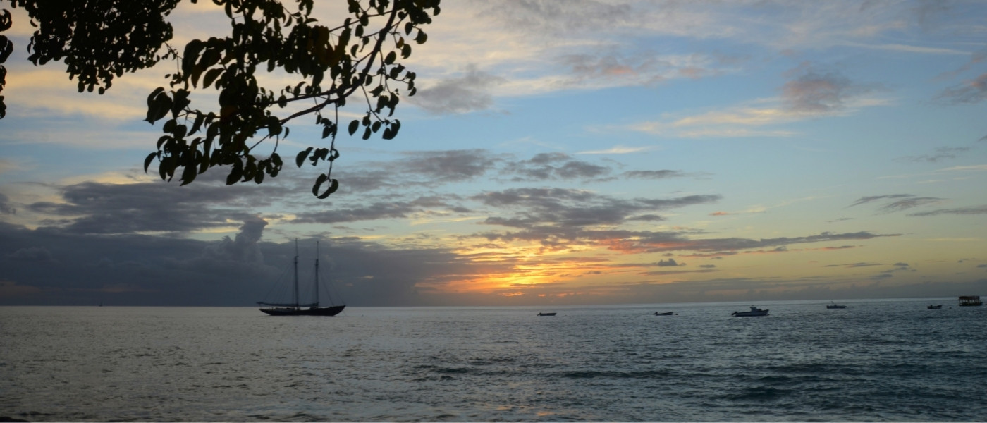 Paynes Bay Maco 2 (1)