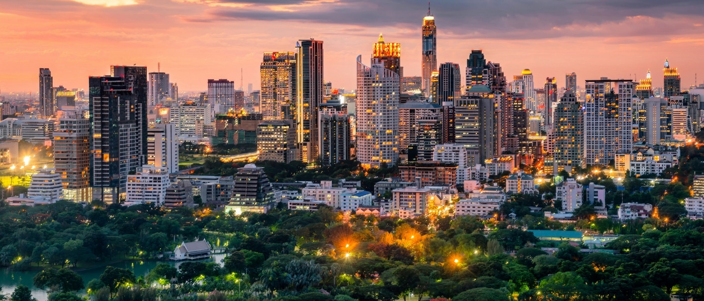 Bangkok Macro 1