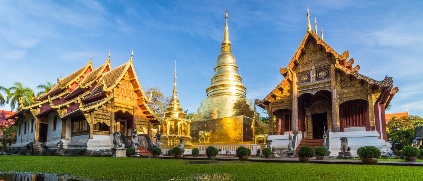 Chiang Mai Macro 2