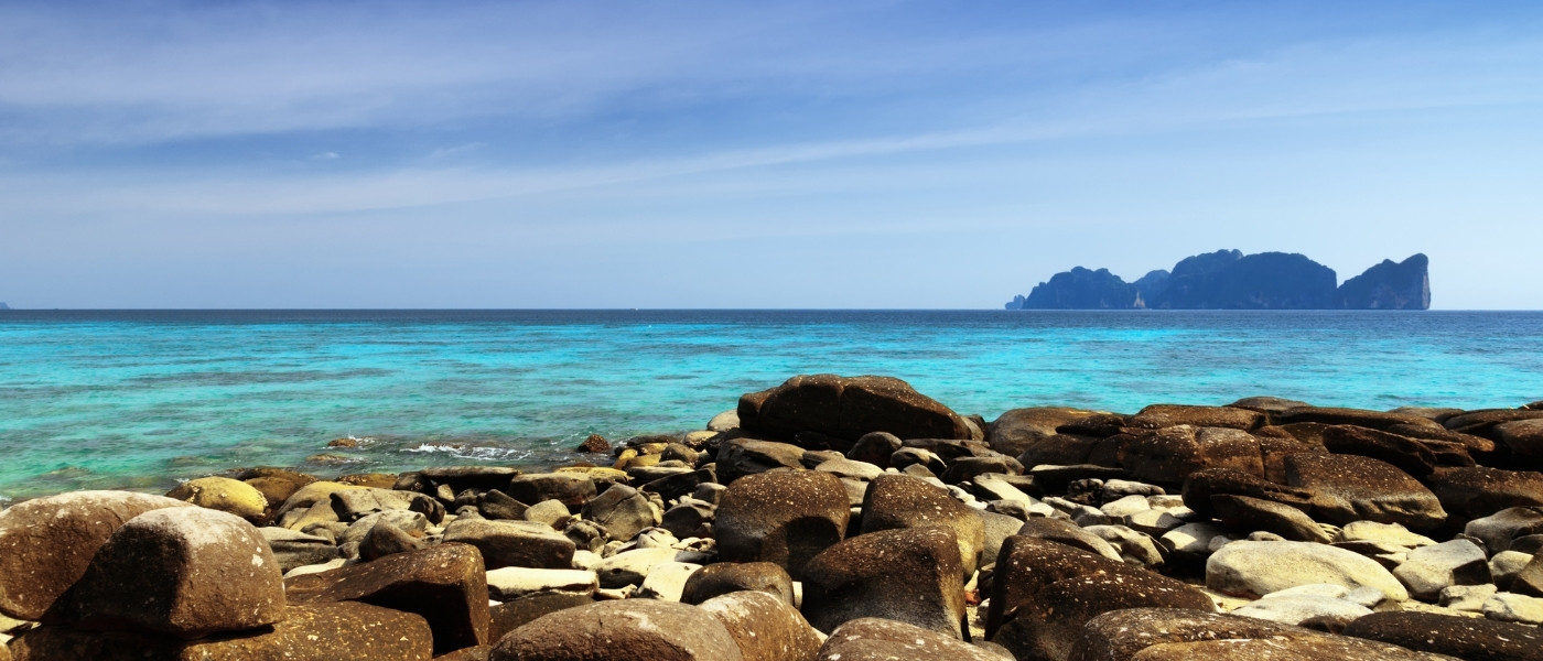Phi Phi Islands Macro 2