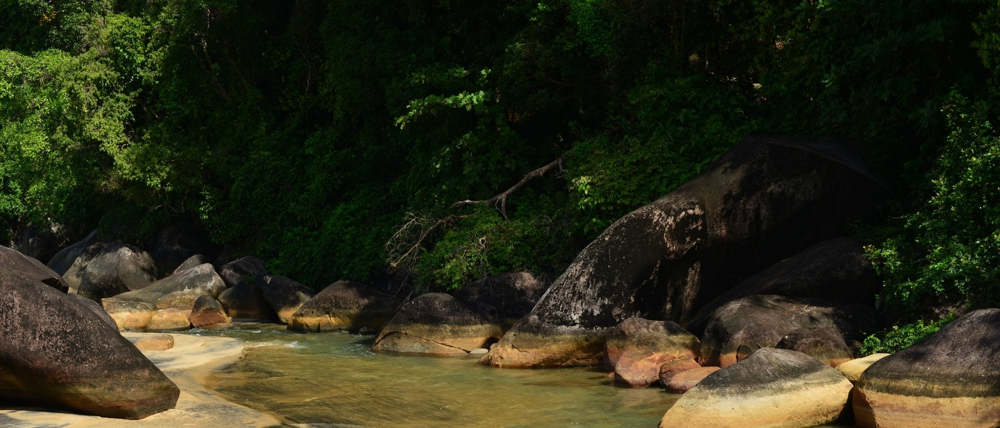 Khao Lak Island Macro 2