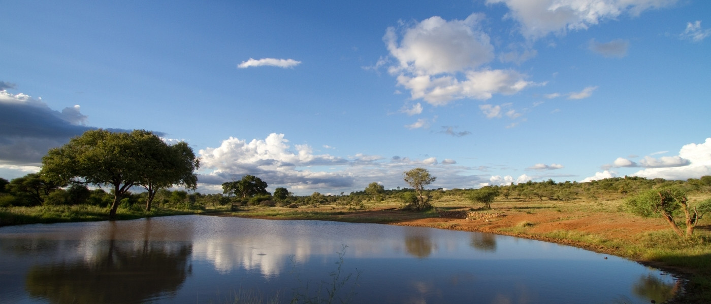 Kruger Park Macro 2