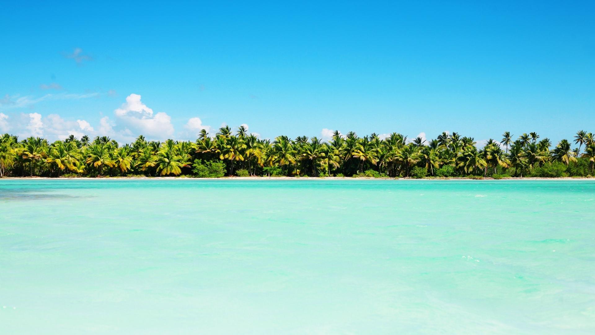 Caribbean