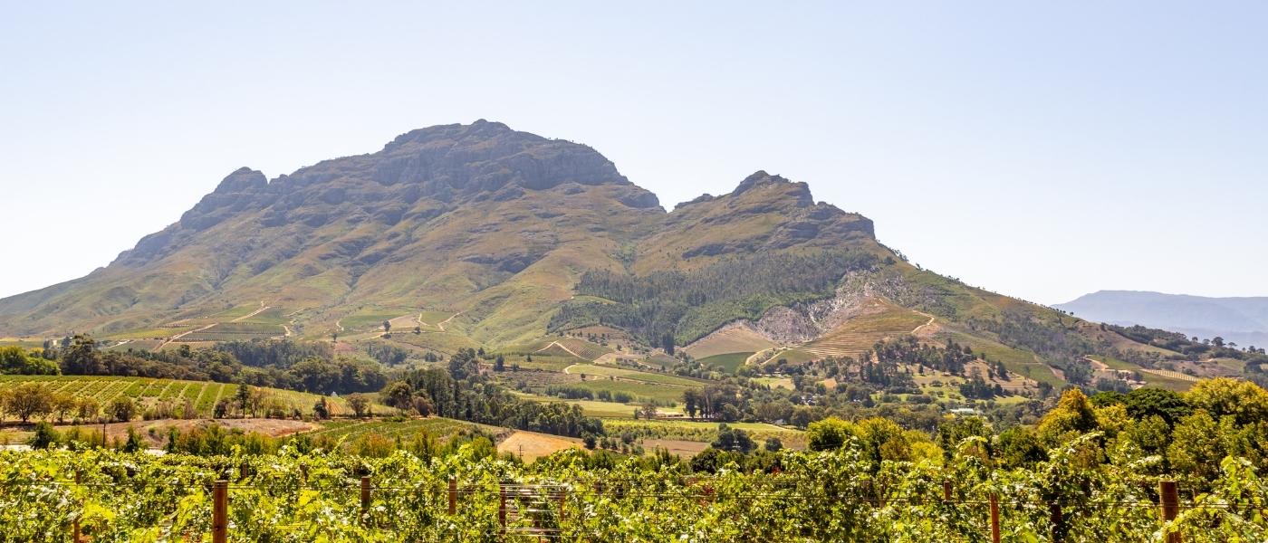 South Africa Macro 2