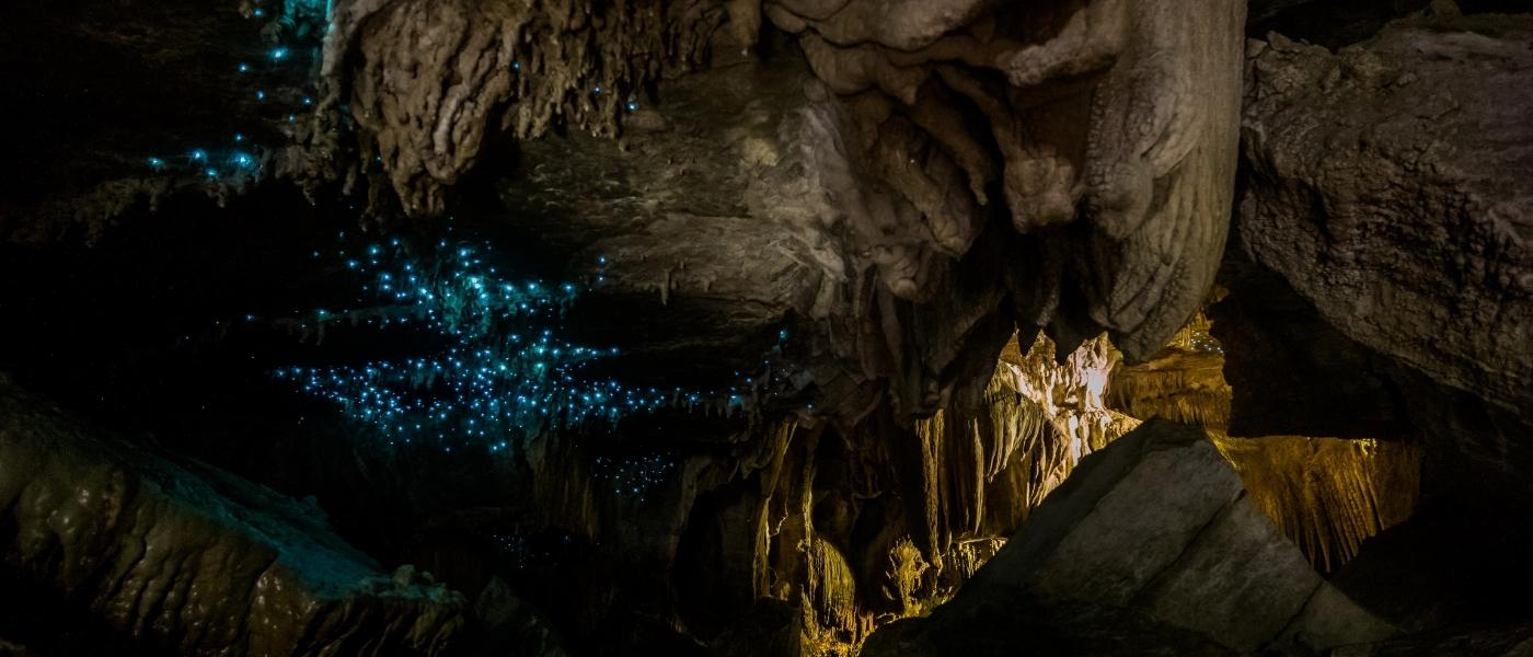 New Zealand Glow Worm Cave Macro 2