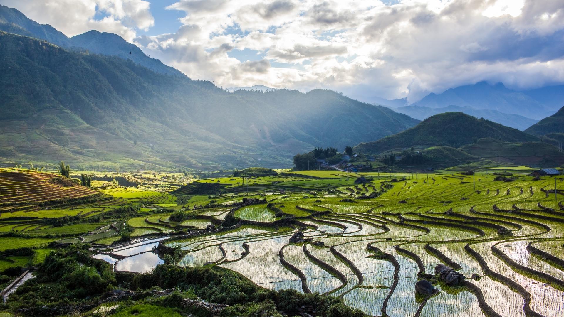 Vietnam