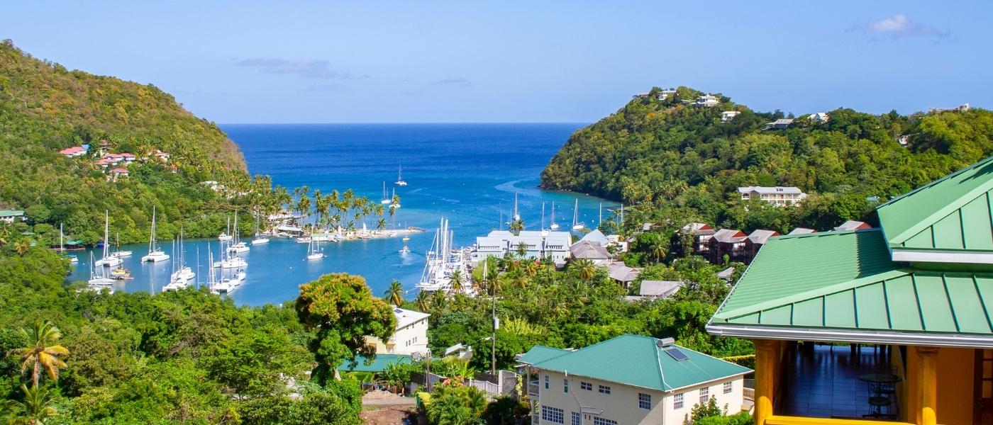 St Lucia Macro 3