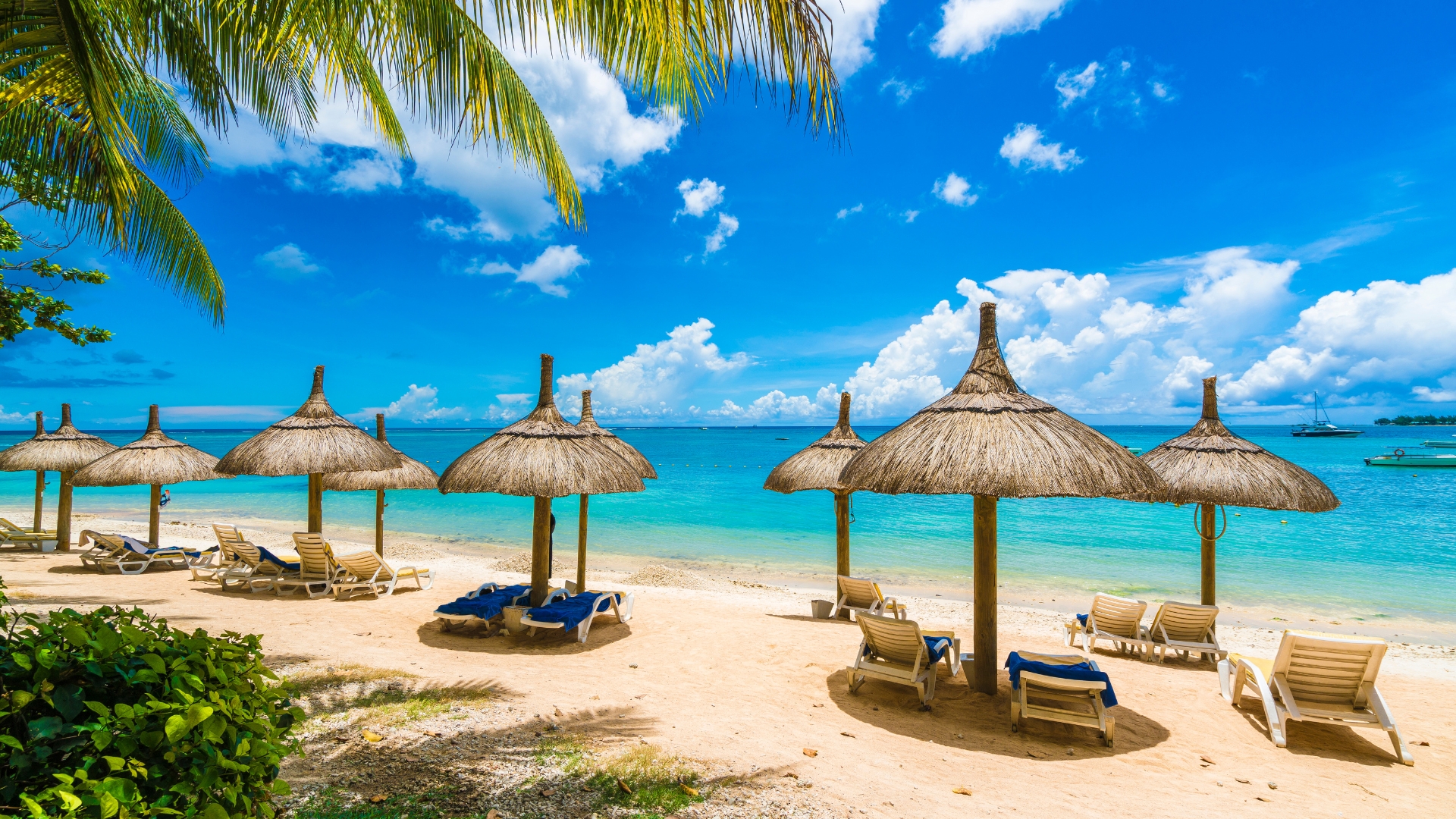 Carl's Trip to Mauritius