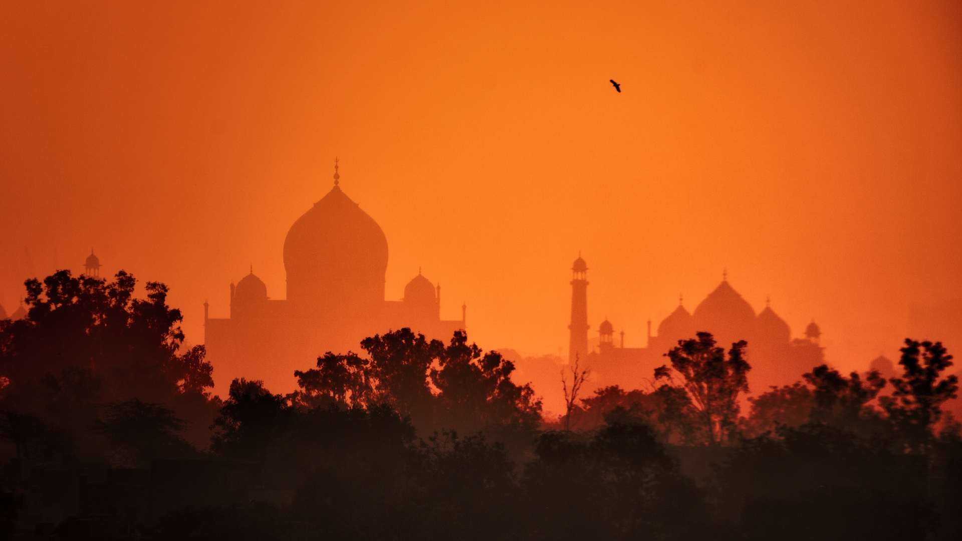 Haarish's Trip to India