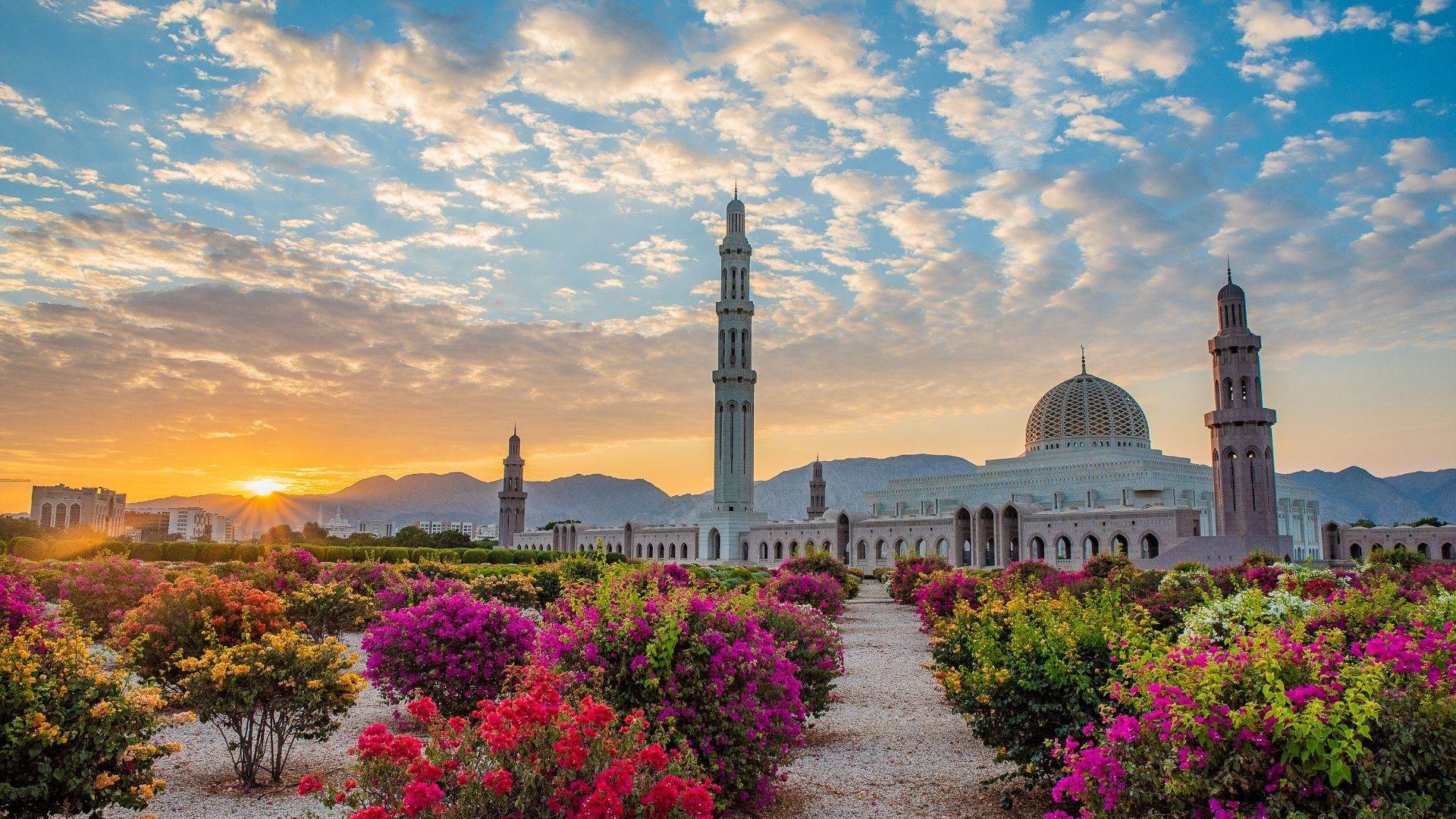 Sandra's Trip to Oman