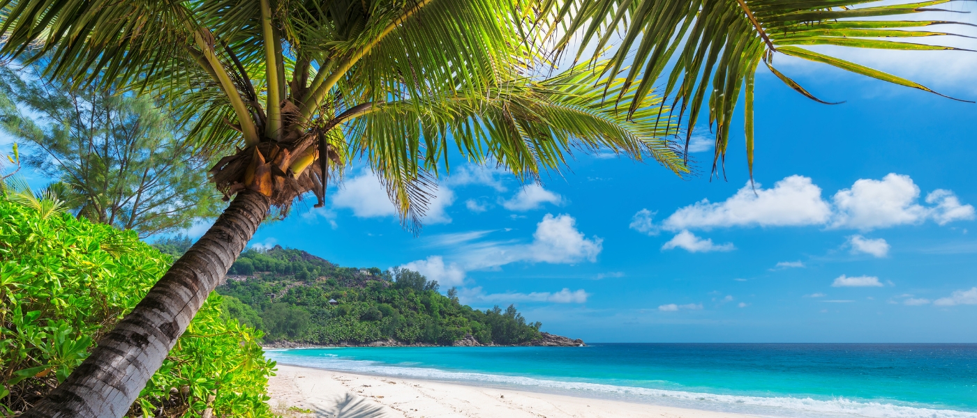 Alison's Trip to Jamaica